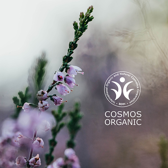 Trawenmoor seal Cosmos Organic
