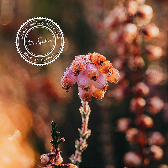 Trawenmoor Seal Made in Germany